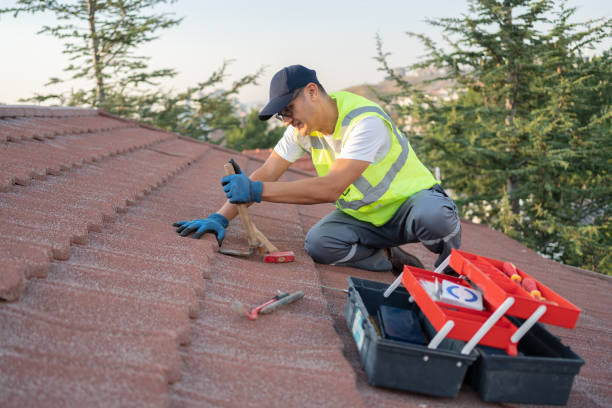 Best Roof Gutter Cleaning  in Hazlehurst, MS