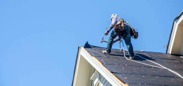 Best Residential Roof Replacement  in Hazlehurst, MS